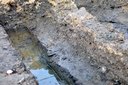 Kolejny fragment murów miejskich średniowiecznego Wielunia odkryty