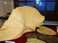 Wystawa prac Marity Bekne w Muzeum Ziemi Wieluńskiej