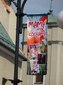 Dziś Dzień Matki. Z tej okazji w Wieluniu powstała galeria MAM w plenerze