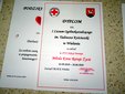 Wieluń: Akcja 