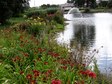 Pięknieje Park 600-lecia w Rząśni