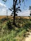 Największe straty w historii Strojca – skutki po ubiegłotygodniowej burzy