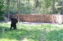 Od ponad pół roku w Rozterku pod Praszką działa prywatna strzelnica