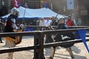 Byczyna - za nami kolejny turniej rycerski