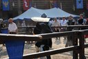 Byczyna - za nami kolejny turniej rycerski