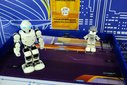 Łódź: Ponad 70 robotów na wystawie ROBOPARK