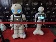 Łódź: Ponad 70 robotów na wystawie ROBOPARK