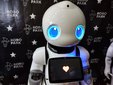 Łódź: Ponad 70 robotów na wystawie ROBOPARK
