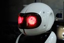 Łódź: Ponad 70 robotów na wystawie ROBOPARK