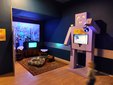 Łódź: Ponad 70 robotów na wystawie ROBOPARK