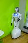 Łódź: Ponad 70 robotów na wystawie ROBOPARK