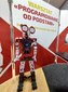 Łódź: Ponad 70 robotów na wystawie ROBOPARK