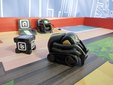 Łódź: Ponad 70 robotów na wystawie ROBOPARK