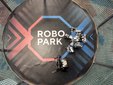 Łódź: Ponad 70 robotów na wystawie ROBOPARK