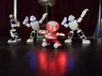 Łódź: Ponad 70 robotów na wystawie ROBOPARK