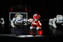 Łódź: Ponad 70 robotów na wystawie ROBOPARK