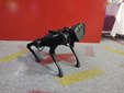 Łódź: Ponad 70 robotów na wystawie ROBOPARK