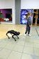 Łódź: Ponad 70 robotów na wystawie ROBOPARK
