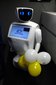 Łódź: Ponad 70 robotów na wystawie ROBOPARK