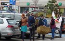 Snopki słomy pod biurem poselskim Pawła Rychlika. Rolnicy protestują w Wieluniu przeciwko „piątce dla zwierząt”