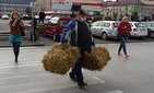 Snopki słomy pod biurem poselskim Pawła Rychlika. Rolnicy protestują w Wieluniu przeciwko „piątce dla zwierząt”