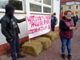 Snopki słomy pod biurem poselskim Pawła Rychlika. Rolnicy protestują w Wieluniu przeciwko „piątce dla zwierząt”