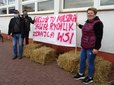 Snopki słomy pod biurem poselskim Pawła Rychlika. Rolnicy protestują w Wieluniu przeciwko „piątce dla zwierząt”