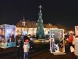 Uroczyste zapalenie światełek na choince w Wieluniu