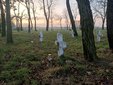 Cmentarz choleryczny w Krzyworzece