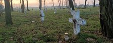 Cmentarz choleryczny w Krzyworzece