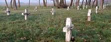 Cmentarz choleryczny w Krzyworzece