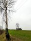 Cmentarz choleryczny w Łaszewie