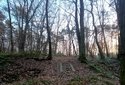 Cmentarz choleryczny w Wieluniu