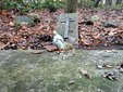 Cmentarz choleryczny w Wieluniu