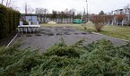 Chcą promować swoją szkołę, więc nagrywają film