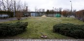 Chcą promować swoją szkołę, więc nagrywają film