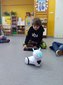 Dzień Nowych Technologii w Edukacji w Publicznym Przedszkolu nr 2 w Wieluniu