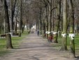 Wieluń pięknieje na święta