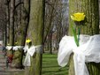 Wieluń pięknieje na święta