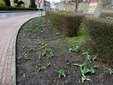 Poszukiwani wandale i złodzieje pisanki z placu Legionów