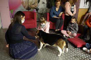 Uczą jak „rozmawiać z psem” – akcja My nie gryziemy! w szkołach gminy Wieluń