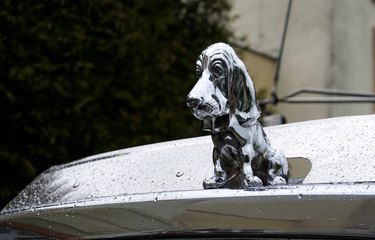 Uczą jak „rozmawiać z psem” – akcja My nie gryziemy! w szkołach gminy Wieluń