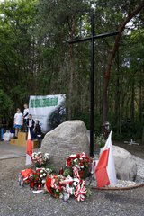 Lututowski Bieg Powstańczy