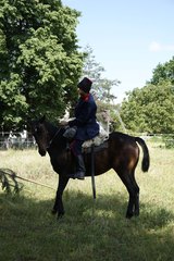 Lututowski Bieg Powstańczy
