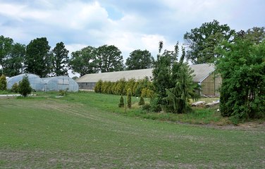 Nauka na wypasie, czyli mała-wielka szkoła w Bogdańczowicach