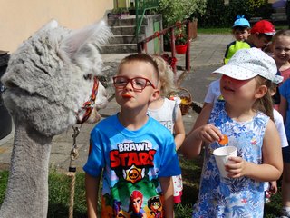 Publiczne Przedszkole nr 2 w Wieluniu odwiedziły Alpaki – Kasia i Jasio