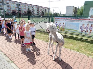 Publiczne Przedszkole nr 2 w Wieluniu odwiedziły Alpaki – Kasia i Jasio