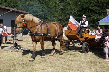 Marszałek Sejmu RP Elżbieta Witek odwiedziła piknik rodzinny w Kuźnicy Ługowskiej (gmina Osjaków)