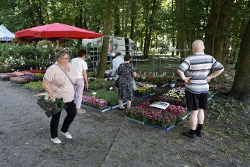 Kościerzyńskie Dni Pola 2021