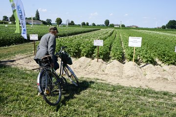 Kościerzyńskie Dni Pola 2021